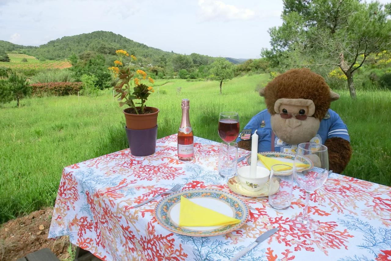 Gite Charlrose At La Platriere Cazedarnes ภายนอก รูปภาพ
